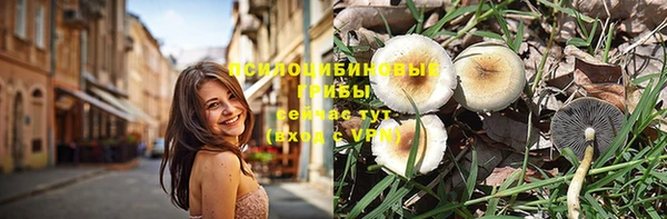 хмурый Приозерск