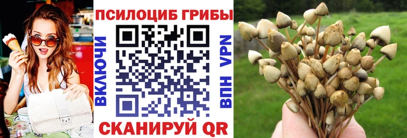 Галлюциногенные грибы MAGIC MUSHROOMS  где продают   Ивдель 